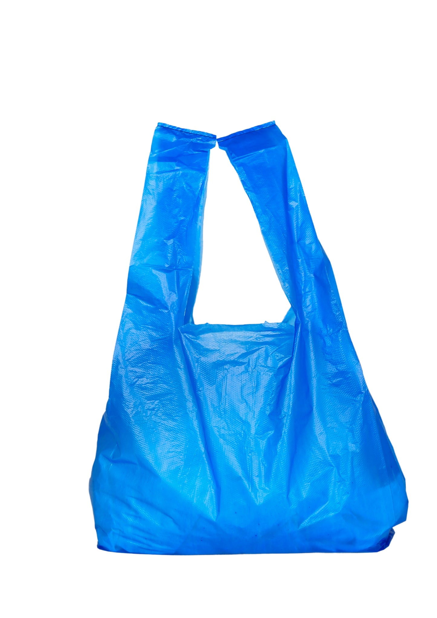 Blue Medium Bags 22L